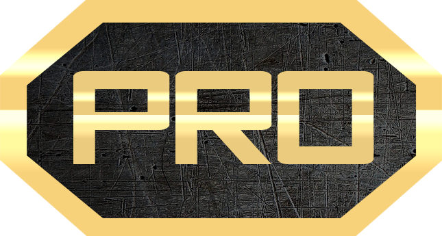 pro_icon_1363566881