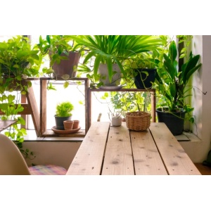 thinkstockphotos-524727486